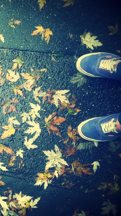 Feuilles d'automne sous les pieds avec Vans