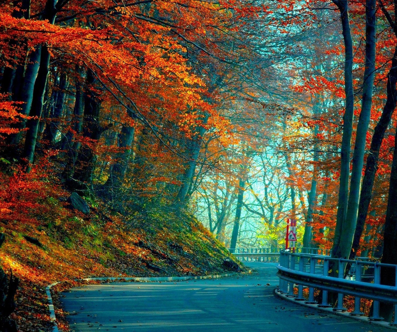 autumn, leaves, road wallpaper