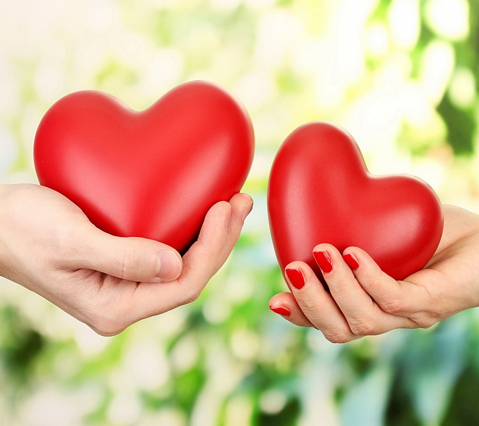 Someone holding a red heart in their hands with a green background (hands, hearts, love)