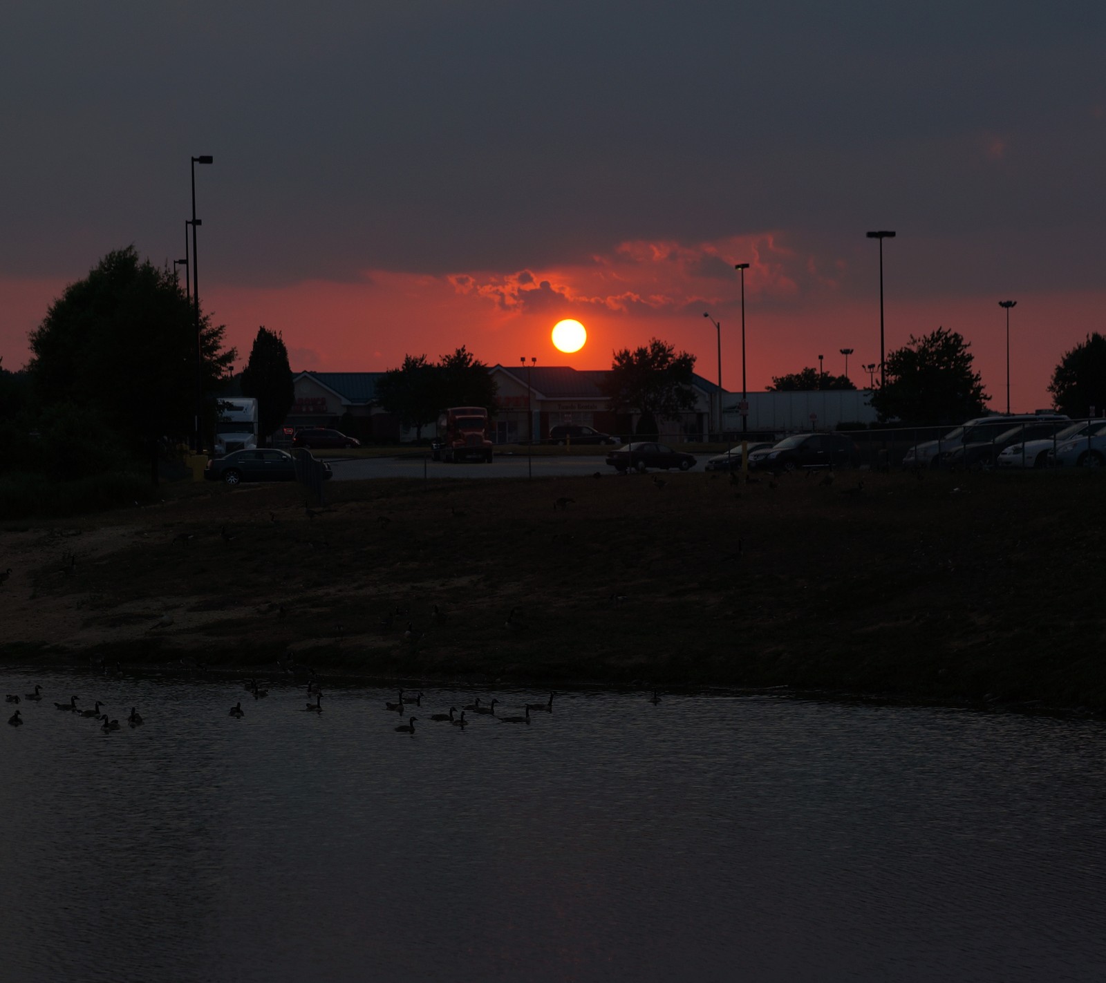 Vue d'un coucher de soleil sur un lac avec des canards au premier plan (beau, joli, soleil, lever du soleil, coucher de soleil)