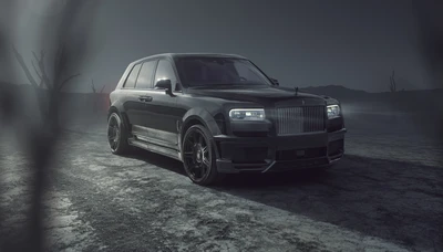 роллс ройс, rolls royce, машины, группа новитек, novitec group