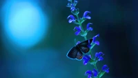 Papillon sur une fleur bleue vibrante