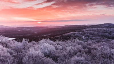 Crepúsculo púrpura sobre bosques helados y horizonte