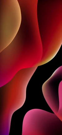 Colorful Abstract Curves with Apple-Inspired Hues