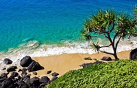 Serene Caribbean Shoreline with Lush Greenery and Rocky Coastline