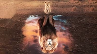 León y cachorro reflejados en agua tranquila al atardecer.