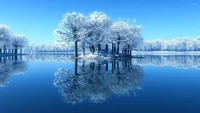 Abrazo de invierno: Árboles cubiertos de escarcha reflejándose en un lago tranquilo