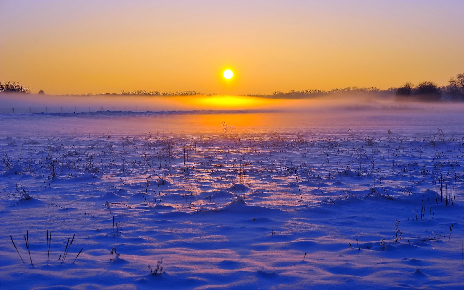 Campo coberto de neve com o sol se pondo ao longe (nascer do sol, horizonte, natureza, por do sol, água)