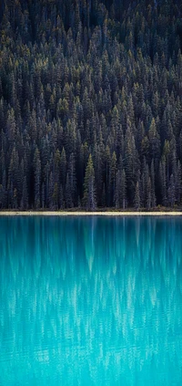 Lago Azul Sereno Refletindo a Floresta de Lariço