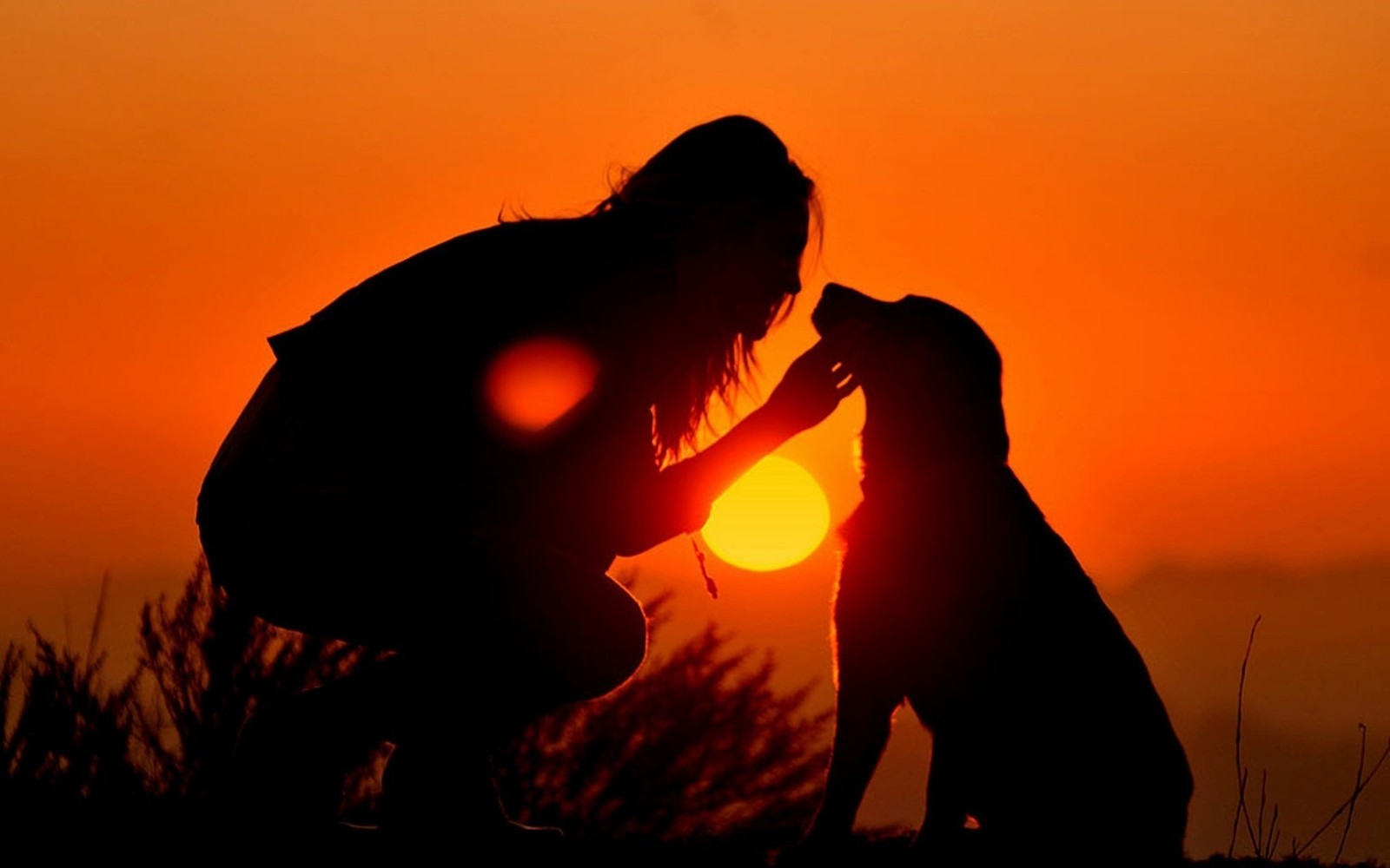 Silhouette d'une femme et de son chien au coucher du soleil. (coucher de soleil, lever de soleil, soir, animal, ensoleillement)