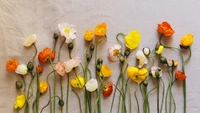 Flores silvestres vibrantes em flor: Uma natureza morta de flores amarelas e laranjas