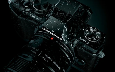 Камера Olympus OM-D: Запечатлевая полночные моменты в темноте