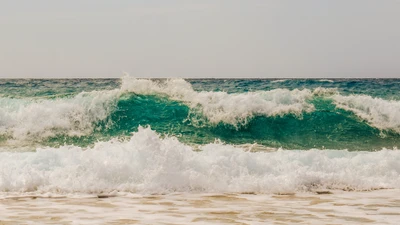 coast, wind wave, beach, sea, ocean