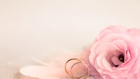 wedding ring, ring, wedding, rose, pink