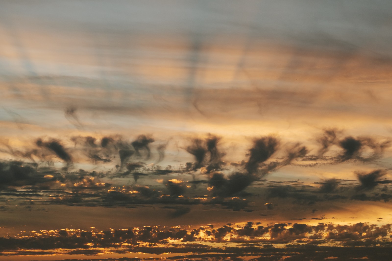 Des girafes volant dans le ciel au coucher du soleil avec un avion au premier plan (coucher de soleil, nuage, crépuscule, horizon, atmosphère)