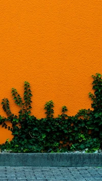 Lebendige orange Wand mit üppiger grüner Vegetation