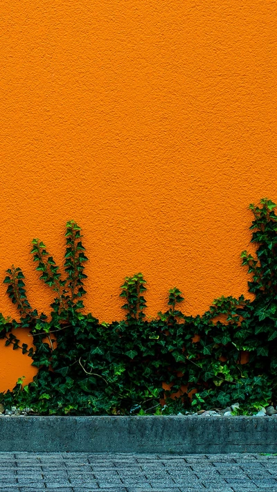 Mur orange vif avec une végétation verte luxuriante