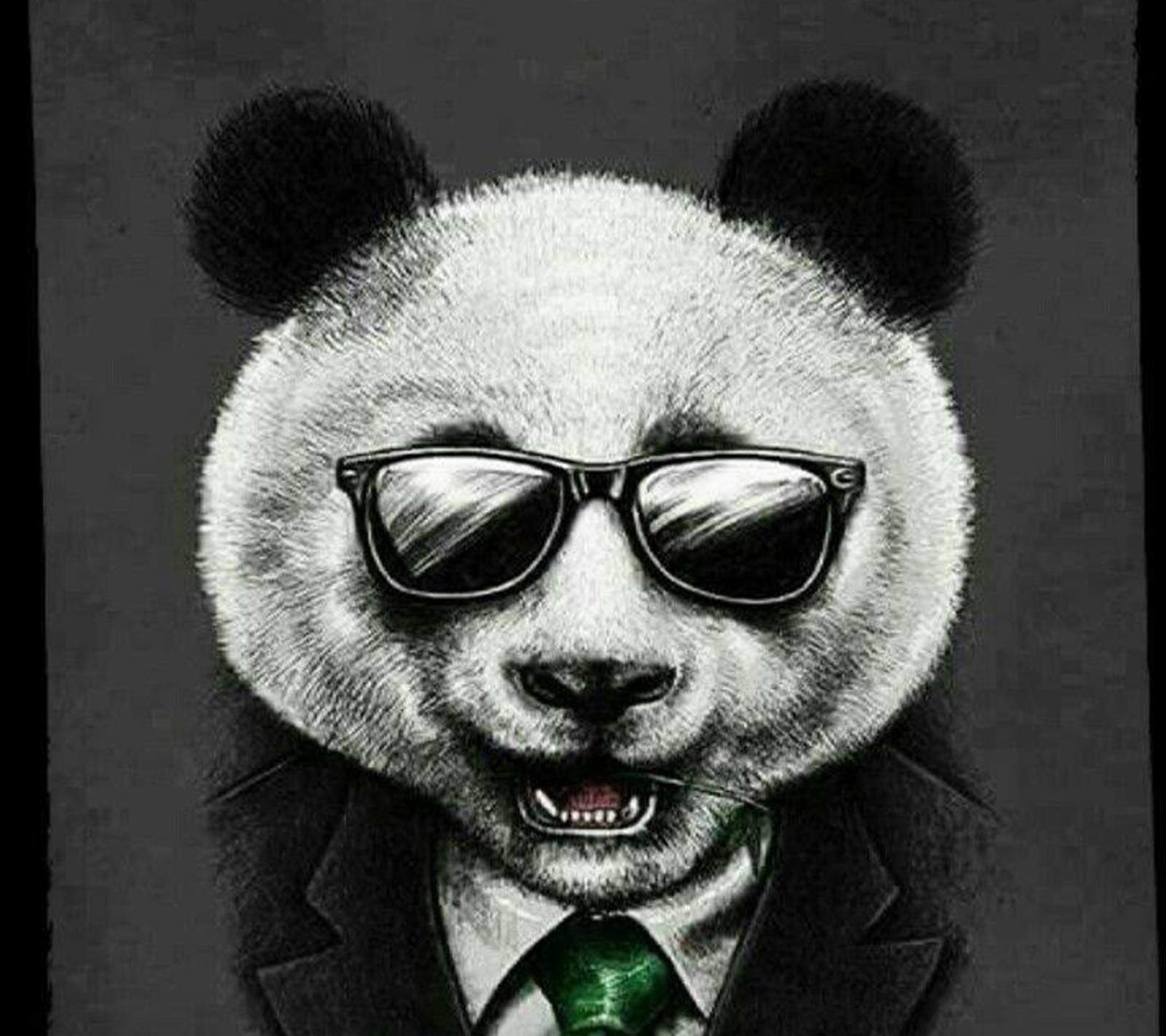 Oso panda usando gafas de sol y una corbata verde (abdo, atef)