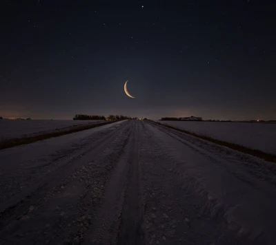 Mondbeschienener Pfad durch ein Winterfeld unter sternenklarem Himmel