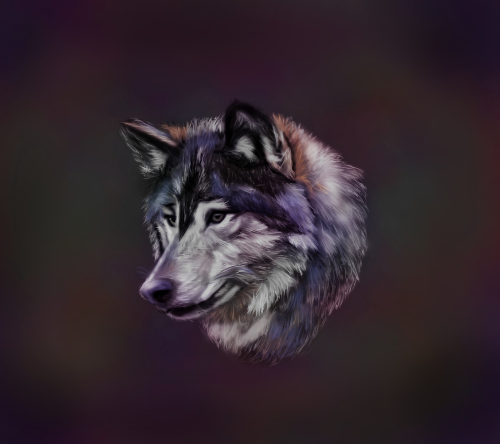 A close up of a wolf's head with a blurry background (animal, drawing, wolf)