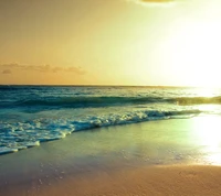 beach, best, holiday, new, sea wallpaper