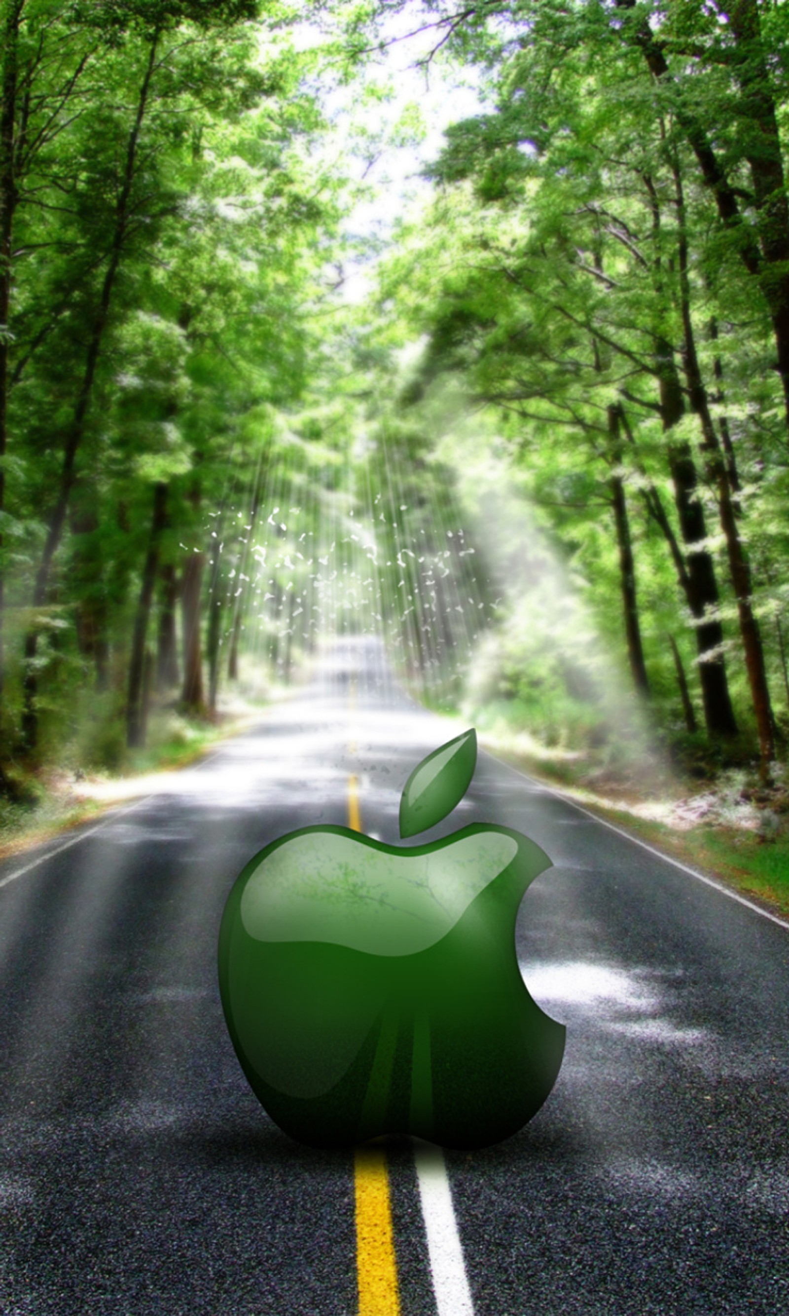 There is a green apple sitting on the side of the road (apple, green)