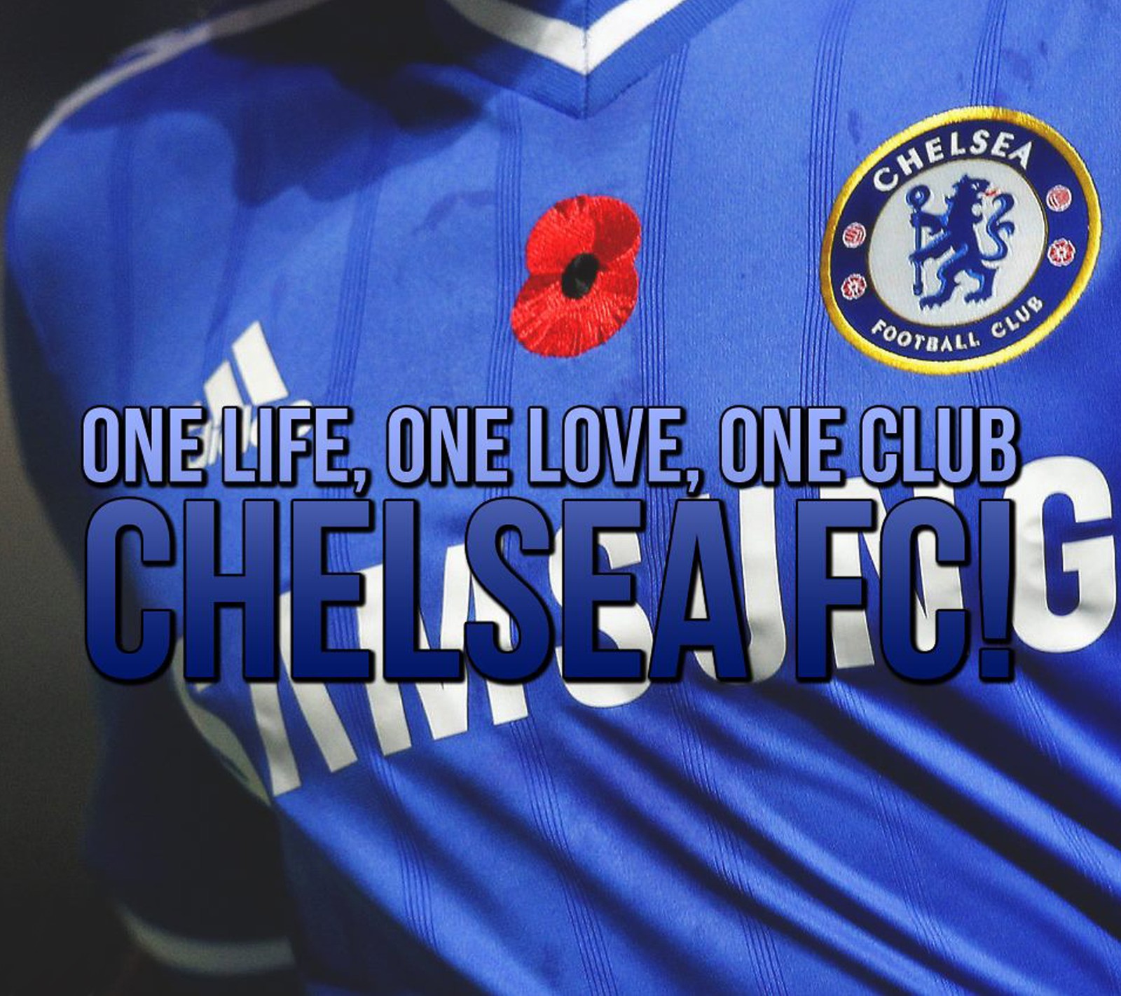 Gros plan d'un maillot de football avec un coquelicot dessus (chelsea, club, fc, football, vie)