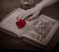 libro, mano, rosa