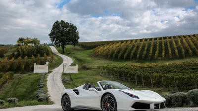 Ferrari 458 Spider: Um conversível deslumbrante em meio a vinhedos exuberantes