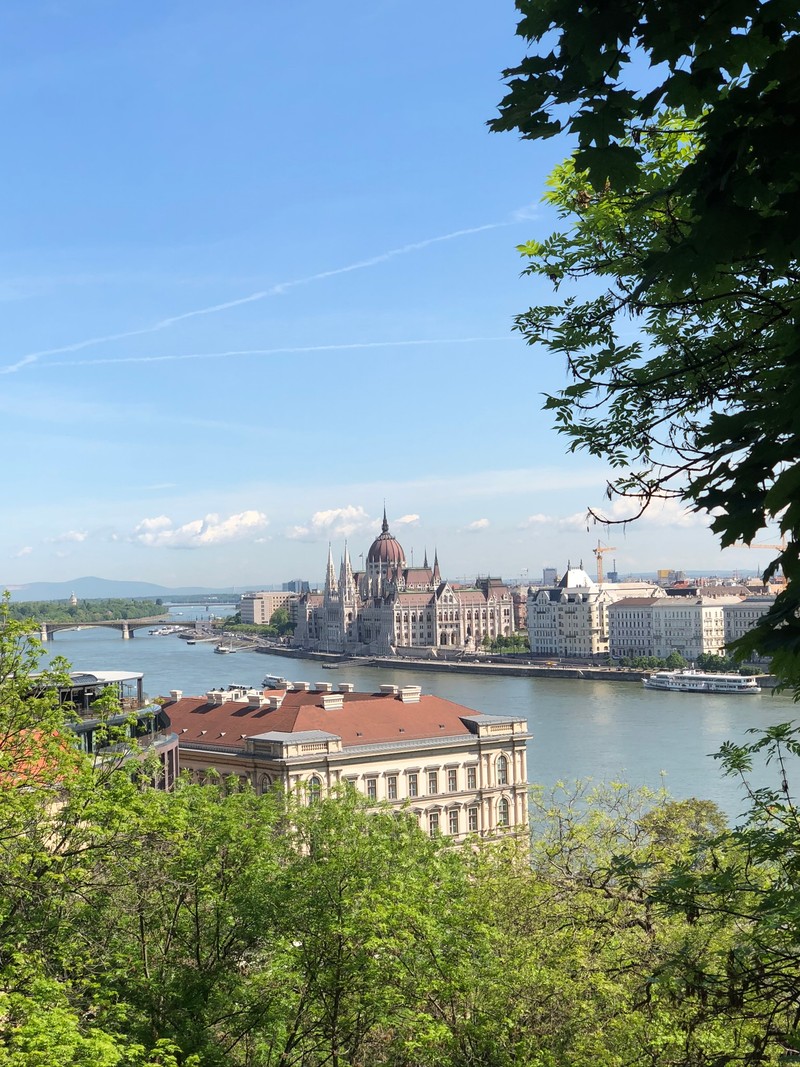 Панорамный вид на город с рекой и мостом (вода, недвижимость, наука, водоем, водный путь)