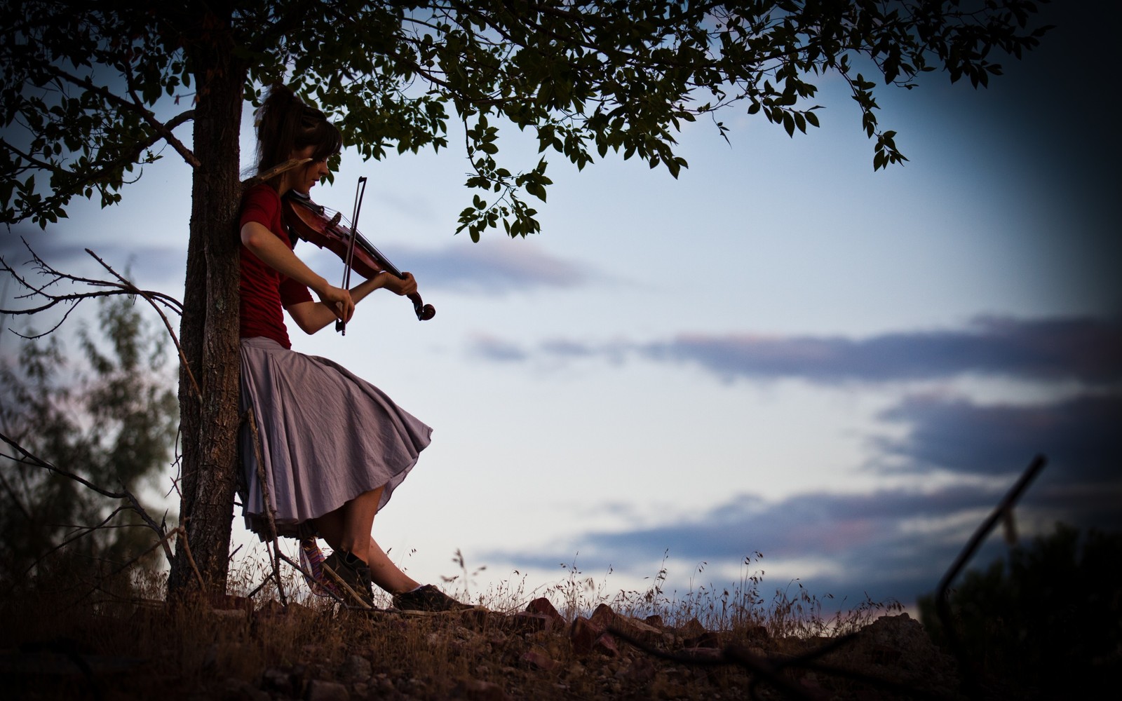 Baixar papel de parede violino, árvore, vestido, nuvem, grama