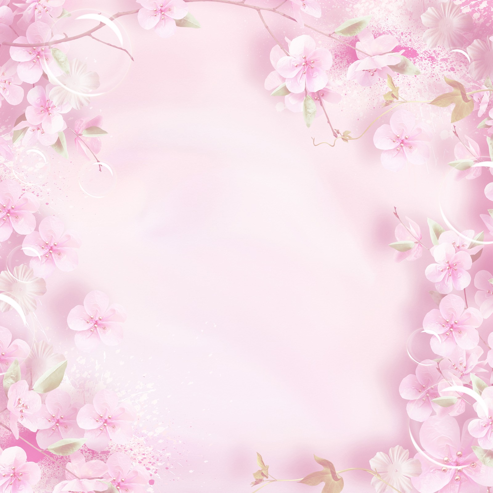 Pink flowers on a pink background with a white border (pink, flower, petal, spring, blossom)