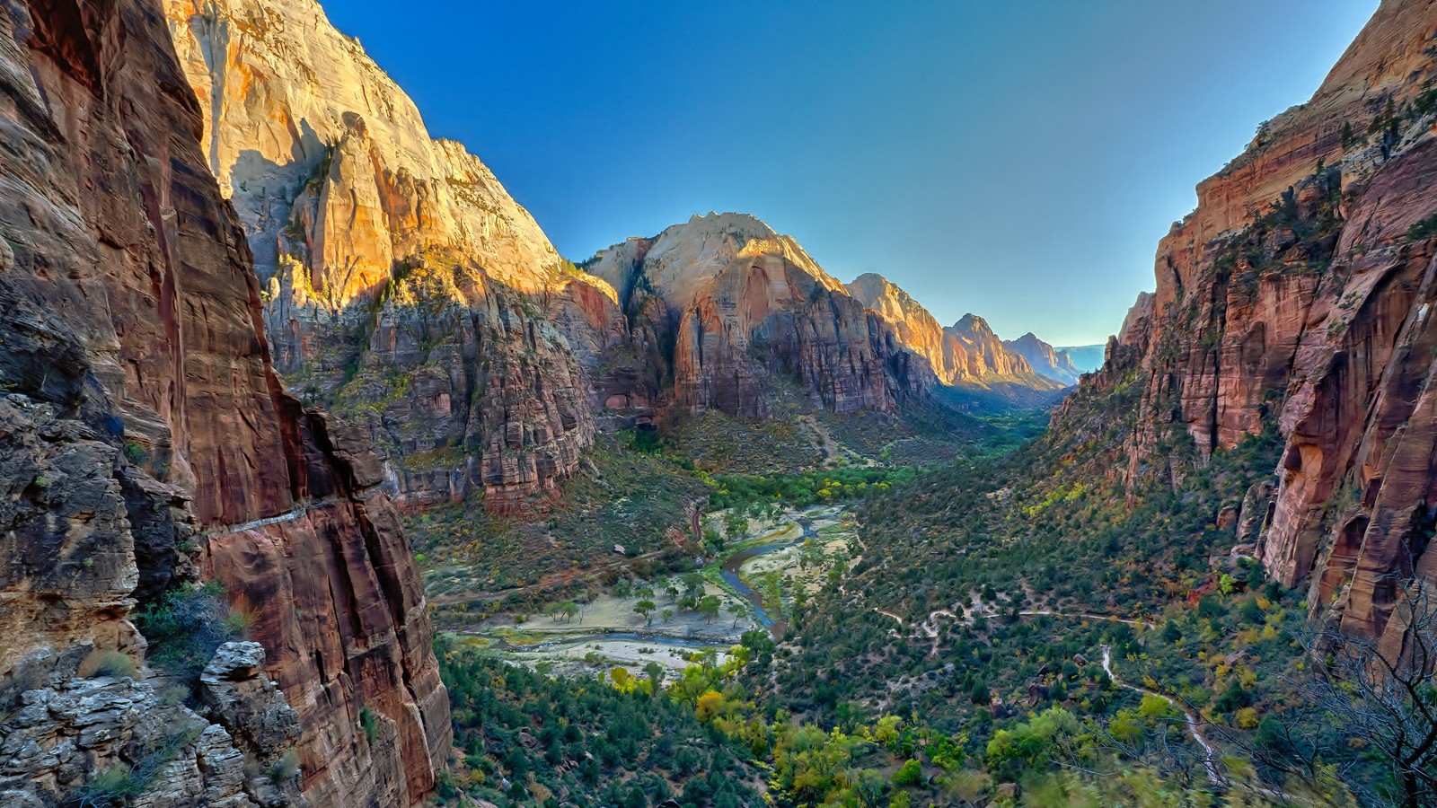 Uma vista de um cânion com um rio passando por ele (parque nacional de zion, zion national park, angels landing, parque nacional arches, parque nacional)