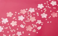 pink, pattern, magenta, petal, flower wallpaper