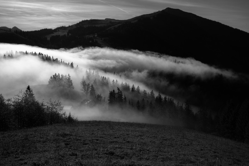 Черно-белая фотография туманного горного пейзажа с деревьями (гора, природа, белый, туман, чёрный)