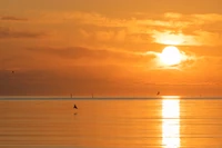 Calm Sea at Sunset: Golden Reflections and Tranquil Horizons