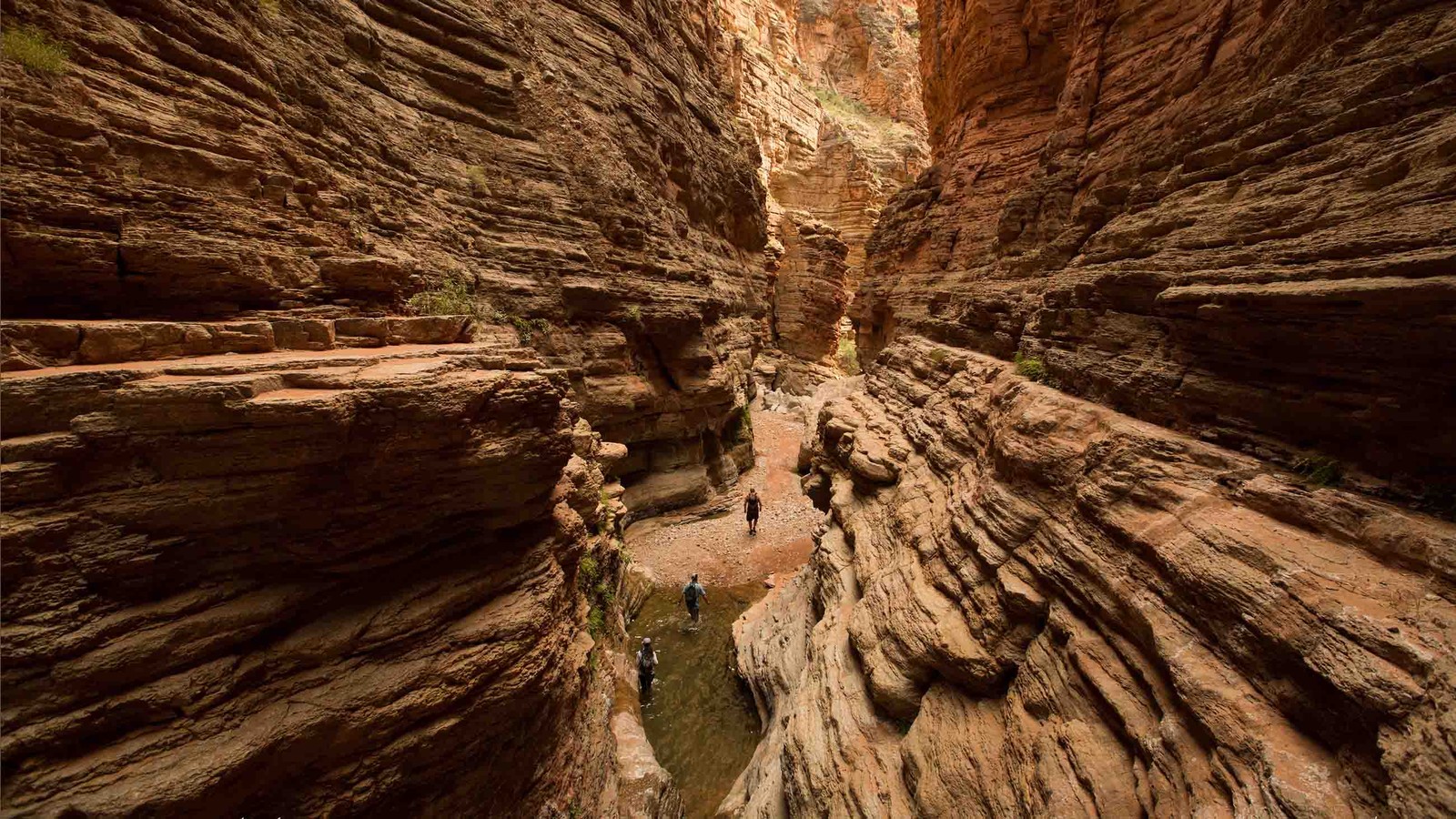 Arafed canyon with a narrow stream and people walking through it (grand canyon, canyon, national park, formation, rock)