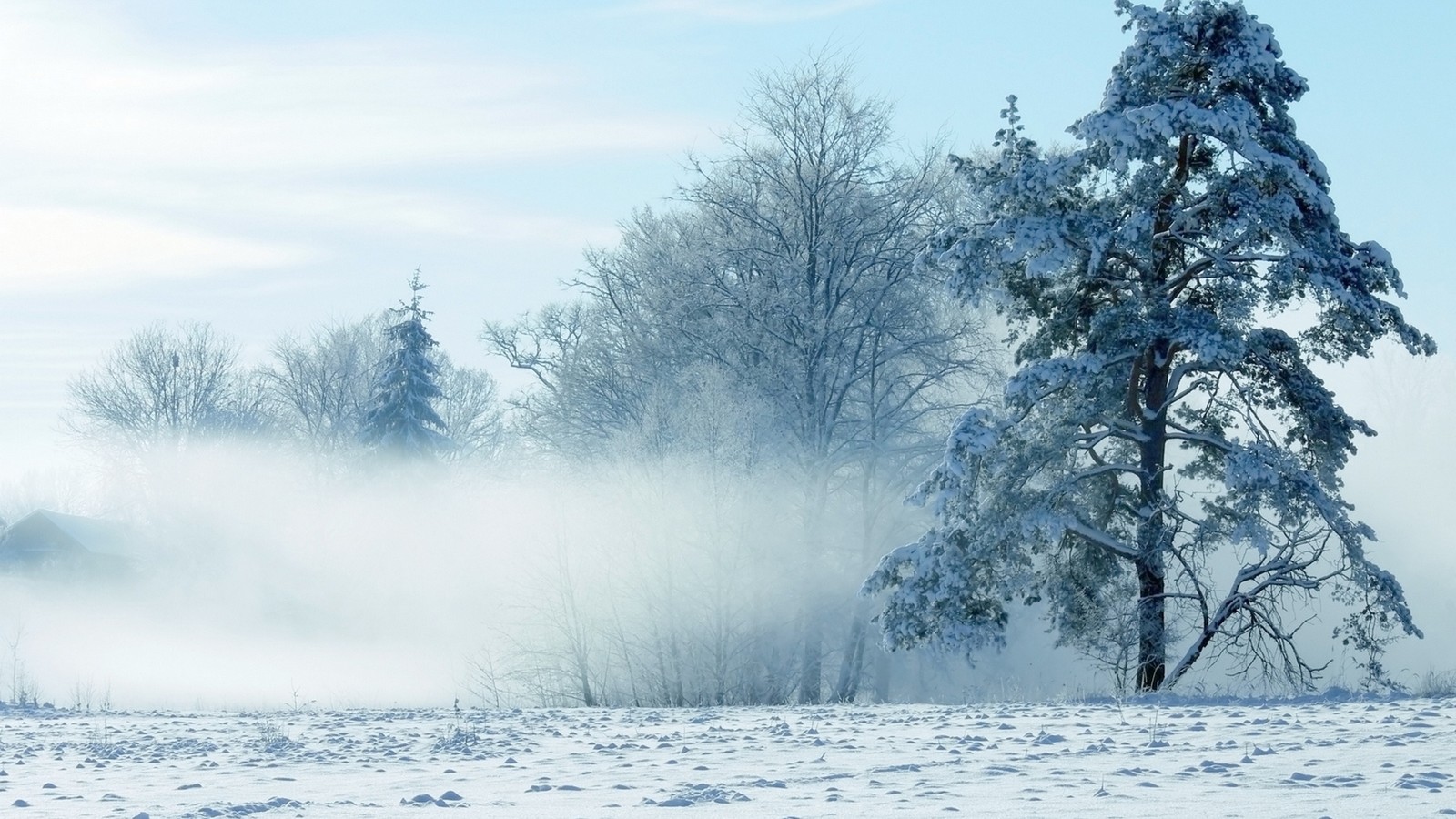 Une vue époustouflante d'un arbre dans un champ avec de la neige et du brouillard en arrière-plan (peinture de paysage, neige, paysage, hiver, arbre)