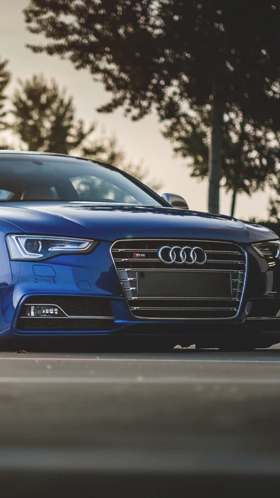 audi, audi s5, auto, voiture