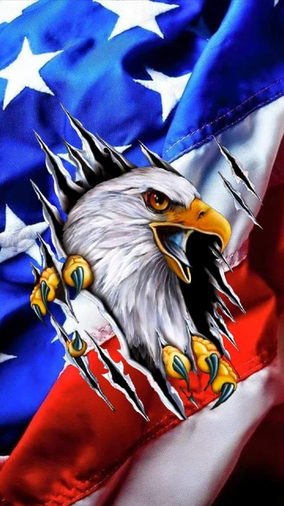 american, eagle, eagles, flag