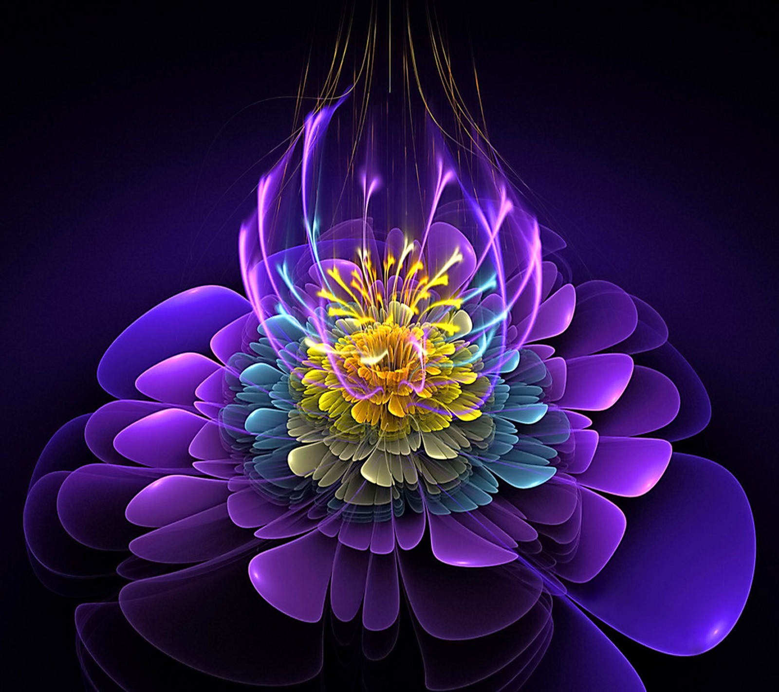 Purple and blue flower with yellow center on black background (abstract, bloom, flower, purple)