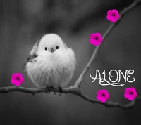 A solitary bird perched on a branch, surrounded by vibrant pink flowers in a monochrome setting.