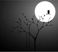 black, dark, moon, night, owl wallpaper