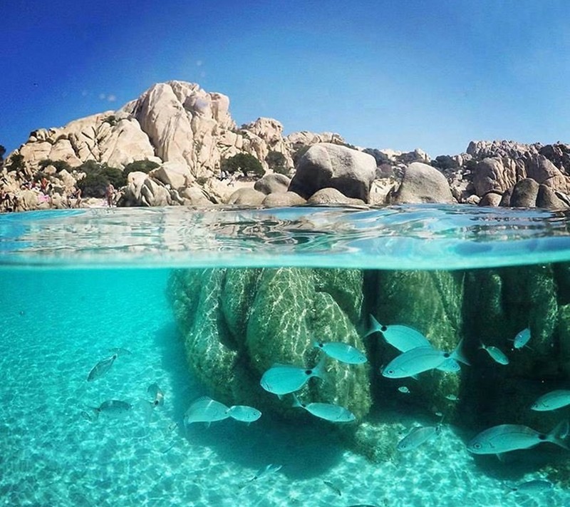 Много рыбы плавает в чистой воде рядом со скалами (пейзаж, природа)