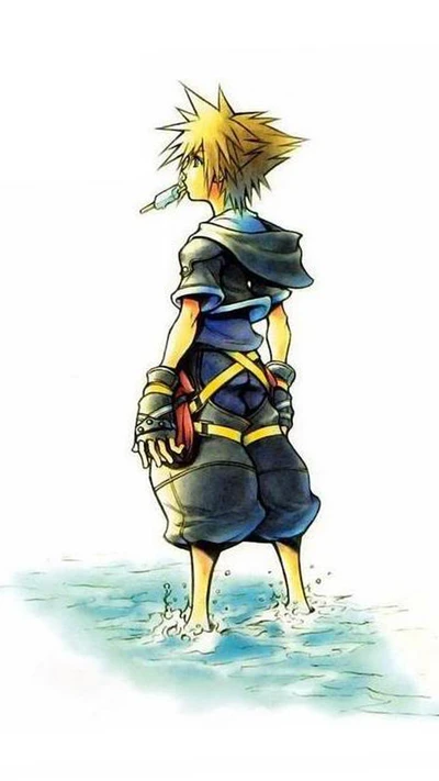 kingdom hearts, sora