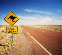 aussie, australia, kangaroo, path, road