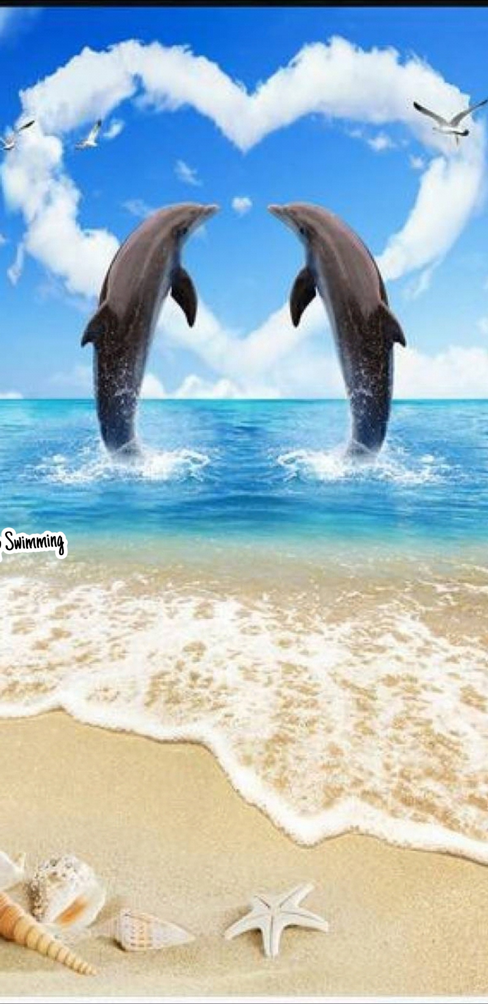 Deux dauphins sautant hors de l'eau sur le sable (dolphine, océan)