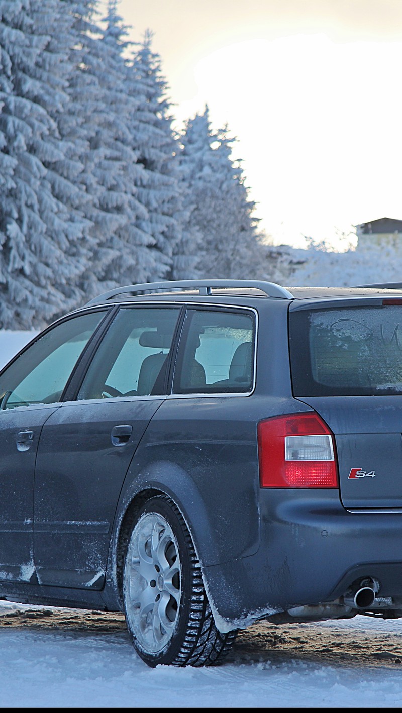 Автомобиль припаркован в снегу рядом с деревом (audi, s4)