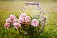 Panier de roses de jardin roses sur l'herbe