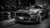 Elegante Ford Shelby Mustang negro en un entorno monocromático